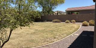 17698 W Maya Way Gallery 47