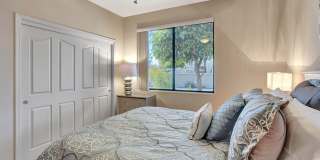25615 N SAGO Drive Gallery 22