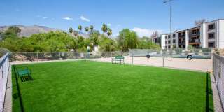 Sunrise Ridge Gallery 15