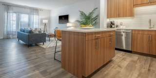 Arlington 360 Gallery 3