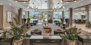 The Royce Gallery 11