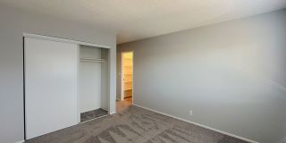 Summer Woods Gallery 22