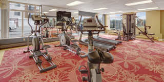 Park Plaza II Apartment Homes Gallery 9