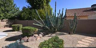 5730 E GELDING Drive Gallery 41