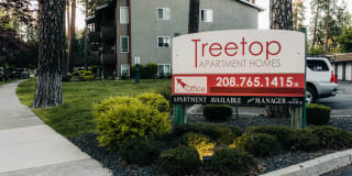 Treetop Gallery 2