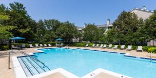 The Groves At Piney Orchard Gallery 10