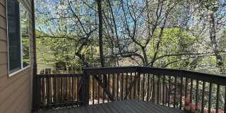 Beautiful 3 Bed + Bonus Room, 2.5 Bath Home! Gallery 13