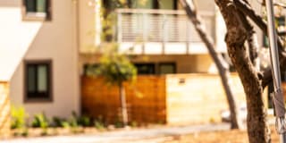 Sharon Green Gallery 35