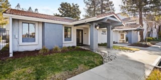 Verde Verde Gallery 3