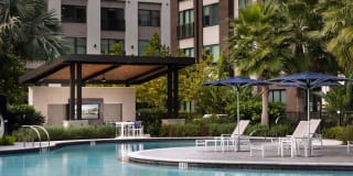 Arcadia Dr. Phillips Arcadia Dr. Phillips Gallery 22