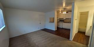 Forest Ridge Gallery 30