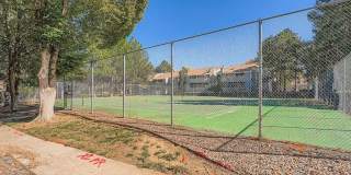Beautifully Remodeled | 1 Bed · 1 Bath | Pet Friendly Gallery 20