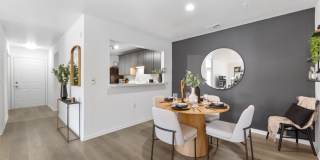 TGM Bull Run Gallery 8