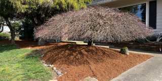 Beautiful One-Level Home with Sunroom, Vaulted Ceilings & Multiple Living Areas Gallery 36