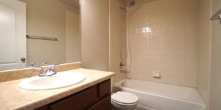 5342 Wild Sage Grove Gallery 21