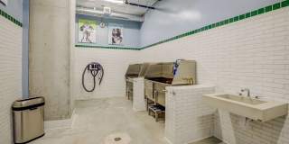 The George Gallery 31