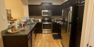 Pointe East at Harbor Walk Ocean View Condo Gallery 9