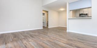 The Hazelwood Gallery 22