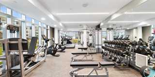 15 Morris Avenue Gallery 26