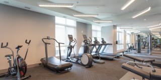 Harlow Navy Yard Gallery 17