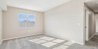 Four Pointe Gallery 29