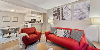 ReNEW Foothills Gallery 3