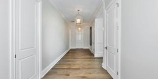 Davis Island Executive Home Gallery 21