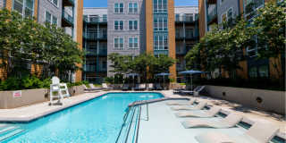 The Alder Gallery 45