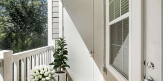 The Darby Apartments Gallery 45