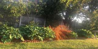 160 Richard Road Gallery 24