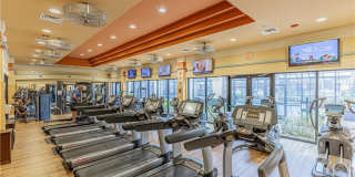 8641 Piazza Del Lago Cir unit: 203 Gallery 7