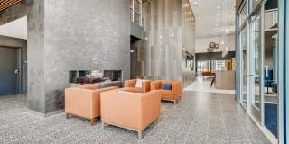 Legacy at Fitz Gallery 50