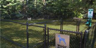 Willow Shores Gallery 27