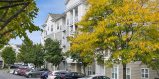 Sofi Danvers Gallery 46