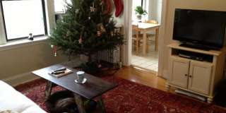 131 Englewood Ave #38 Brighton MA 02135 Gallery 1