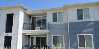 Beautiful Newer 2 Bedroom Condo in Briargate Area Gallery 1