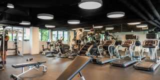 Sawyer Place Gallery 21