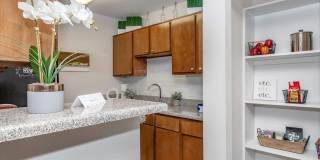 Autumn Wood Gallery 4