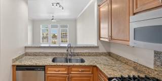 2220 Village Walk Drive Gallery 12