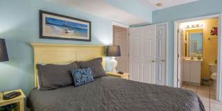 TIME TO SECURE A FURNISHED PROPERTY FOR THE FALL OF '26-SPRING OF '27 Gallery 8