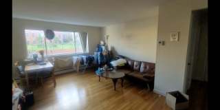 Fantastic Apt near BU and Packards Corner!  $500 rebate with promo.  HW Floors, Dishwasher Gallery 12