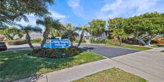 3519 Paseo Flamenco Gallery 37