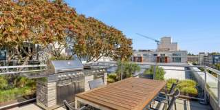 Eleanor Eleanor Gallery 6