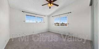 15354 Black Shadow Drive Gallery 26