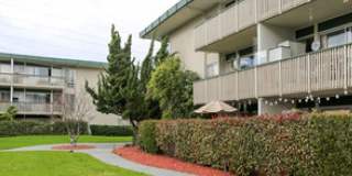 Tradewind Surf Gallery 1