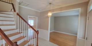 Walton Woods - Columbia County Gallery 5