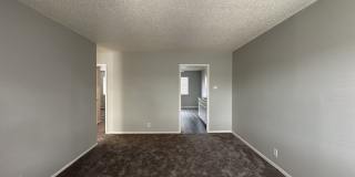 Summer Woods Gallery 12