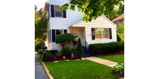 213 LAUREL Avenue unit: B Gallery 1