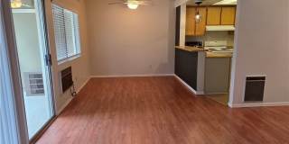 26296 Los Viveros Gallery 6