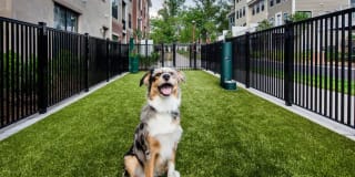 Avalon Princeton Gallery 37